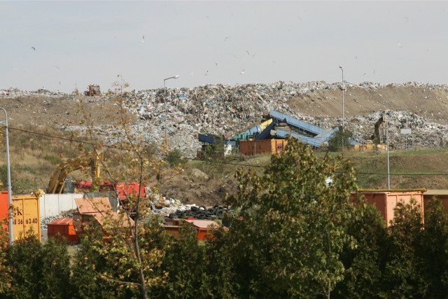 Dwa składowiska odpadów rekultywowano w Lipnie, jedno w Skępem. Mogą służyć wypoczynkowi i ekologicznej edukacji. Za unijne pieniądze.
