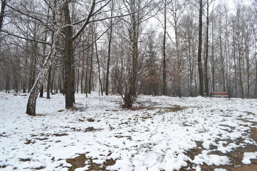 Jaworzno: Park Chrząstówka w zimowym, śnieżnym puchu