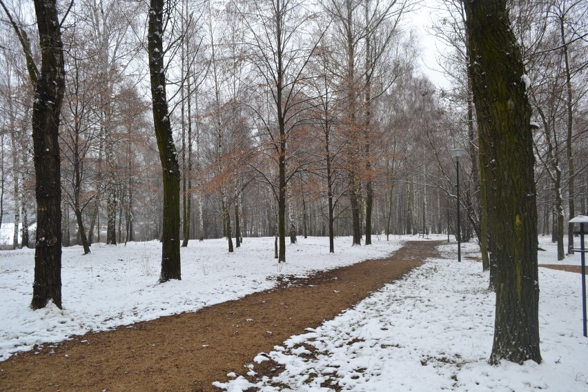 Jaworzno: Park Chrząstówka w zimowym, śnieżnym puchu