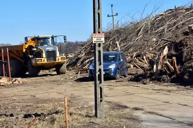 Strefa, mająca ponad 5 hektarów, będzie przeznaczona dla maksymalnie 6 przedsiębiorstw, dla których udostępnione będą działki o różnej powierzchni