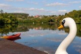 Rowerem z Pruszcza Gdańskiego do Juszkowa! Zobacz piękno regionu z perspektywy roweru