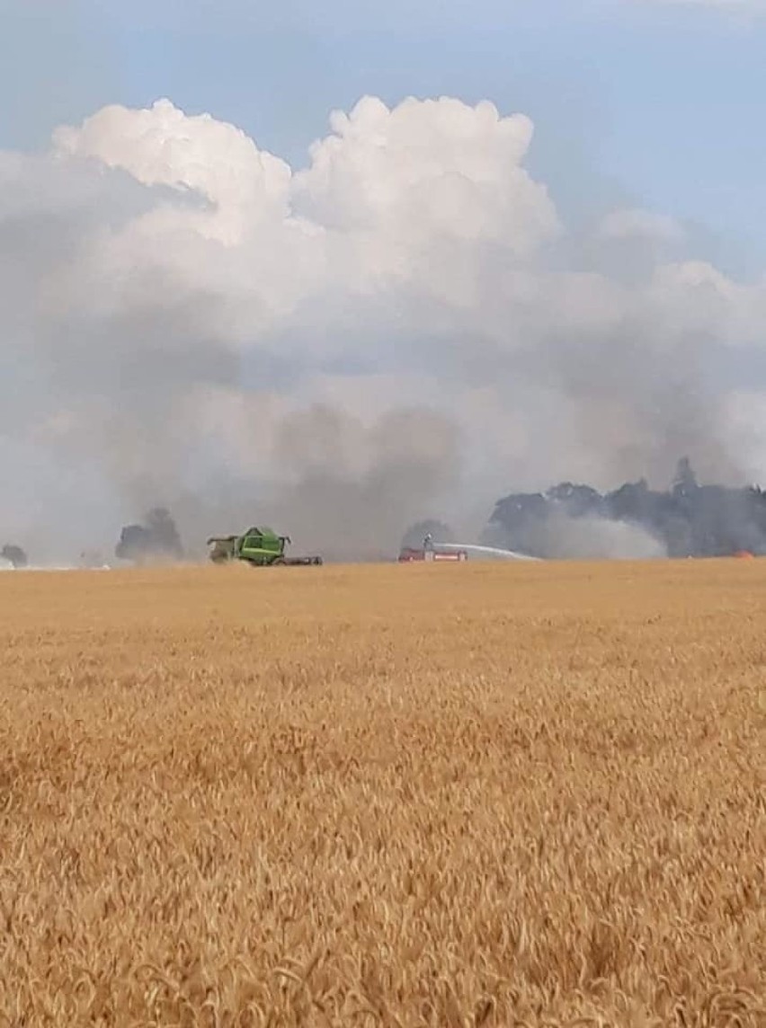 Powiat stargardzki. Paliły się zboża i ścierniska 