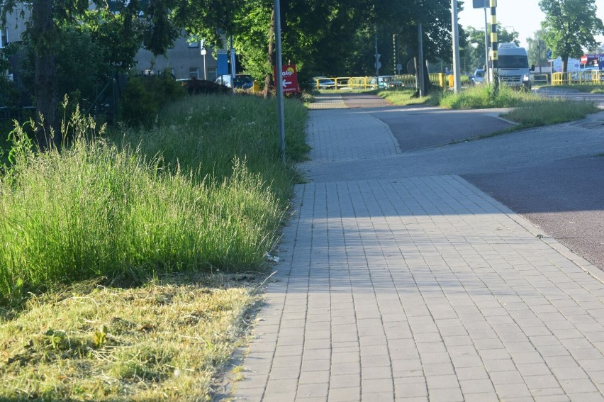 Co z trawnikami w Nowym Dworze Gdańskim? Mieszkańcy zwracają uwagę, gmina odpowiada