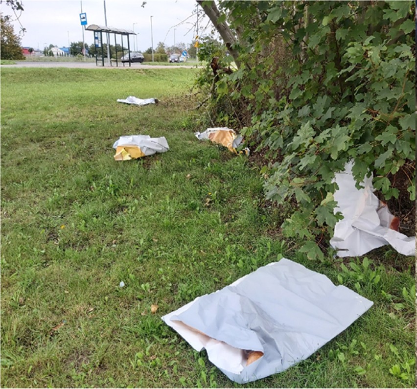 Strażnicy miejscy w akcji. Jeden bałagan mniej w Stargardzie 