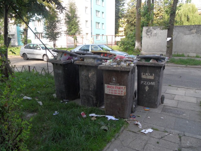 Śmieci w Bytomiu 2013