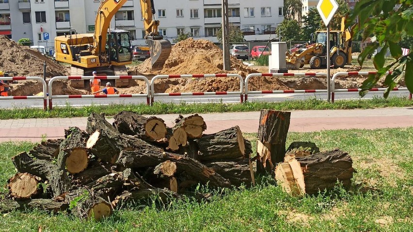 Kalisz: Drogowcy wycinają drzewa przy ulicy Podmiejskiej....