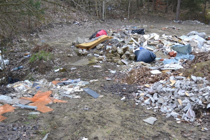 Dzikie wysypisko odpadów w Borkowie 31-03-2016