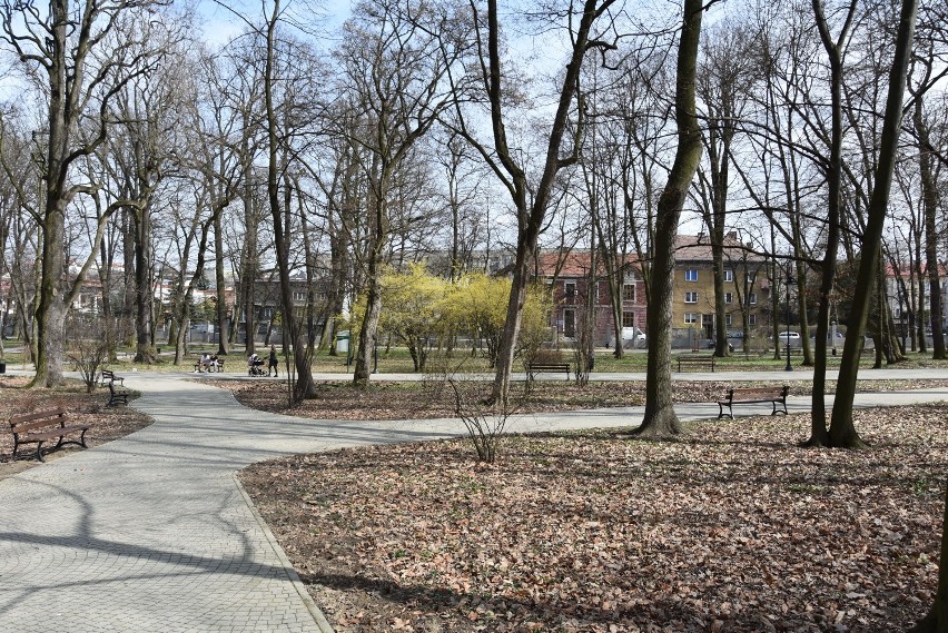 Park Strzelecki w Tarnowie