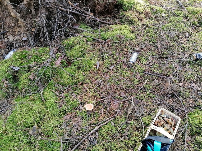 Wysyp grzybów i przy okazji śmieci w zielonogórskich lasach