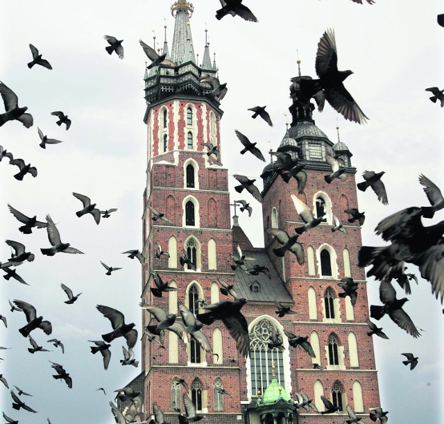 Są symbolem Krakowa, ale czy muszą zostawiać wszędzie swoje znaki?