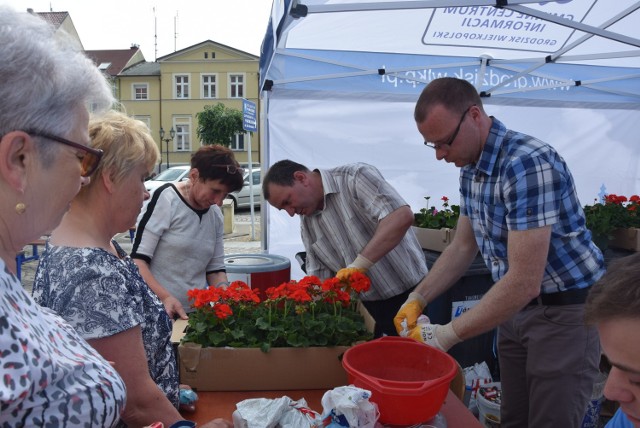 Grodzisk: Za dużo chętnych do oddania baterii