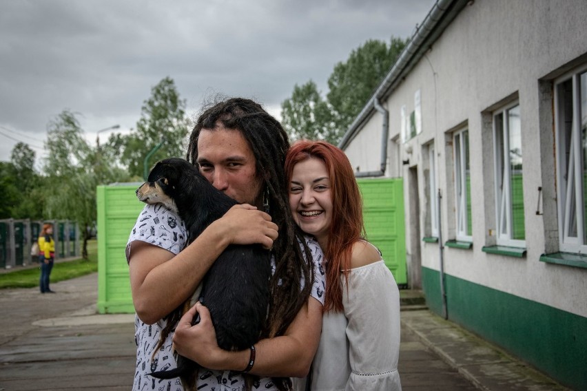 18 psów i kotów z bełchatowskiego schroniska w nowych domach po Dniu Adopcji. Akcja trwa przez cały tydzień [ZDJĘCIA]