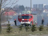 Pożar traw przy Al. Solidarności (materiał Dziennikarza Obywatelskiego)