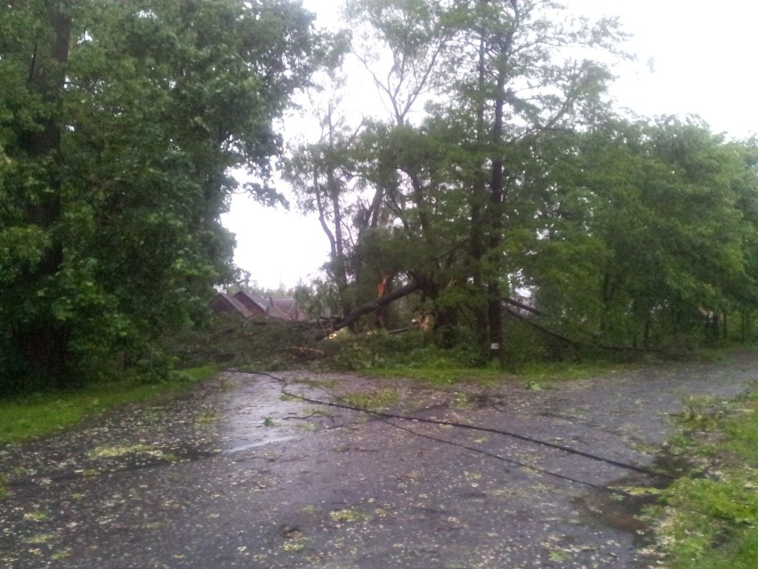 Wiatr połamał drzewa i uszkodził dachy w Skrzatkach
