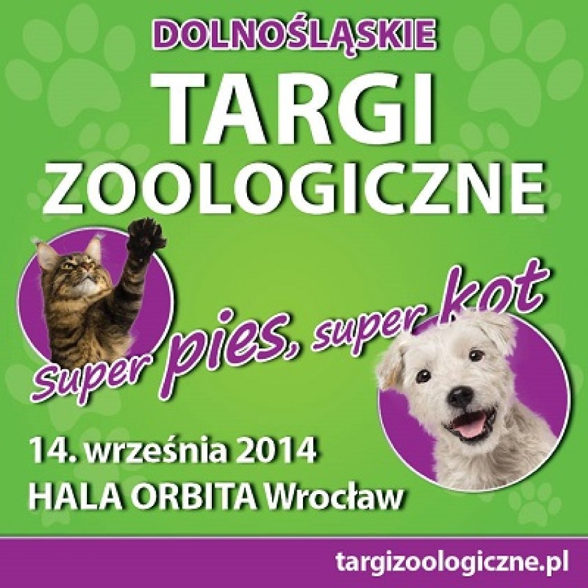 Weekend we Wrocławiu


Dolnośląskie Targi Zoologiczne "SUPER...