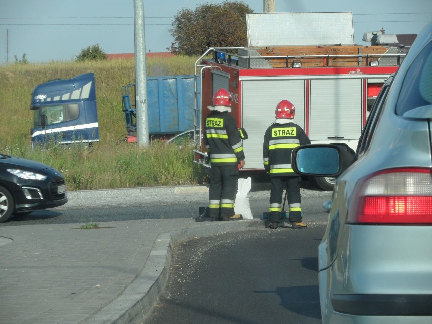 Straż autostrada A1 Żory