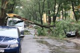 Burza w Łodzi. Sprawdź, utrudnienia w ruchu komunikacji miejskiej