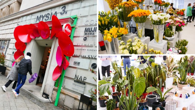 Święto kwiatów powróciło do Warszawy. Prawdziwa gratka dla wielbicieli roślin
