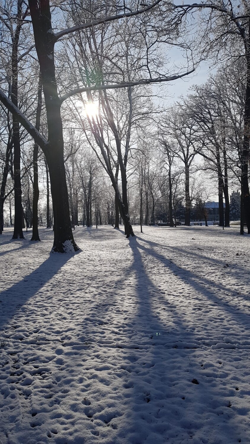 Zdjęcia Krosna Odrzańskiego w śniegu w 2023 roku.