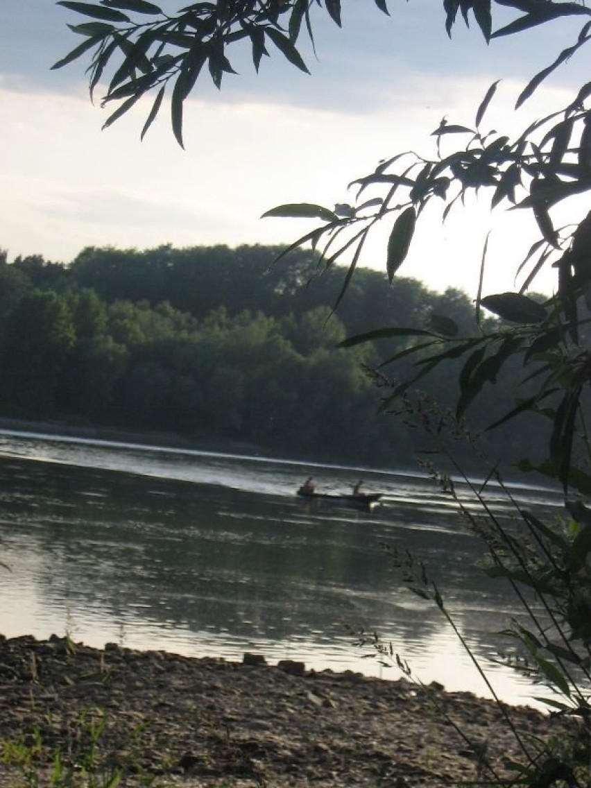 Inni wolą łowić rybki z łodzi. Fot. Ewa Krzysiak