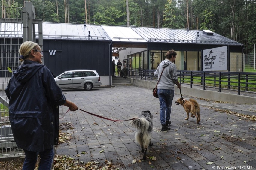 Nowy pięciogwiazdkowy hotel w Sopocie dla zwierząt. "Sopotkowo" przyjęło pierwsze zwierzęta 