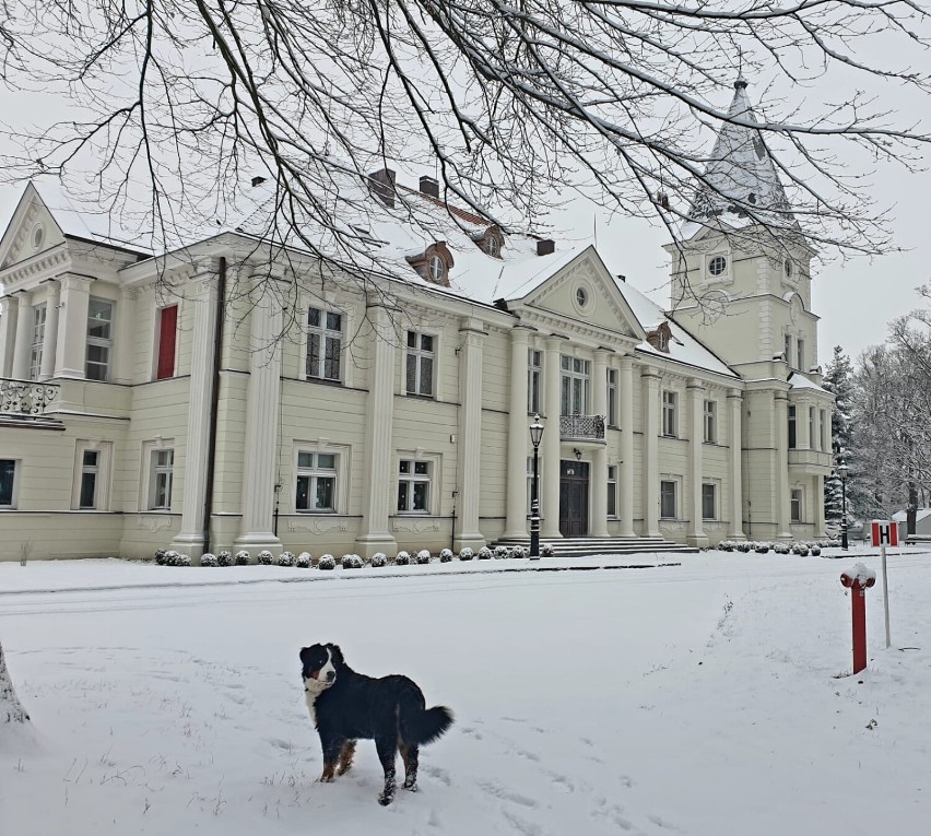 Dom Chłopaków. Pałac w Broniszewicach odzyskał dawny blask