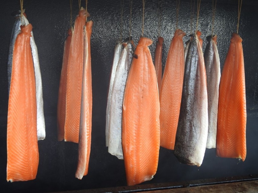 Gdzie kupić rybę na Mierzei Wiślanej (wakacje 2022 nad morzem)? Ryby zdrowe, ale czy tanie? Na pewno jest smacznie, a za węgorza 130 zł