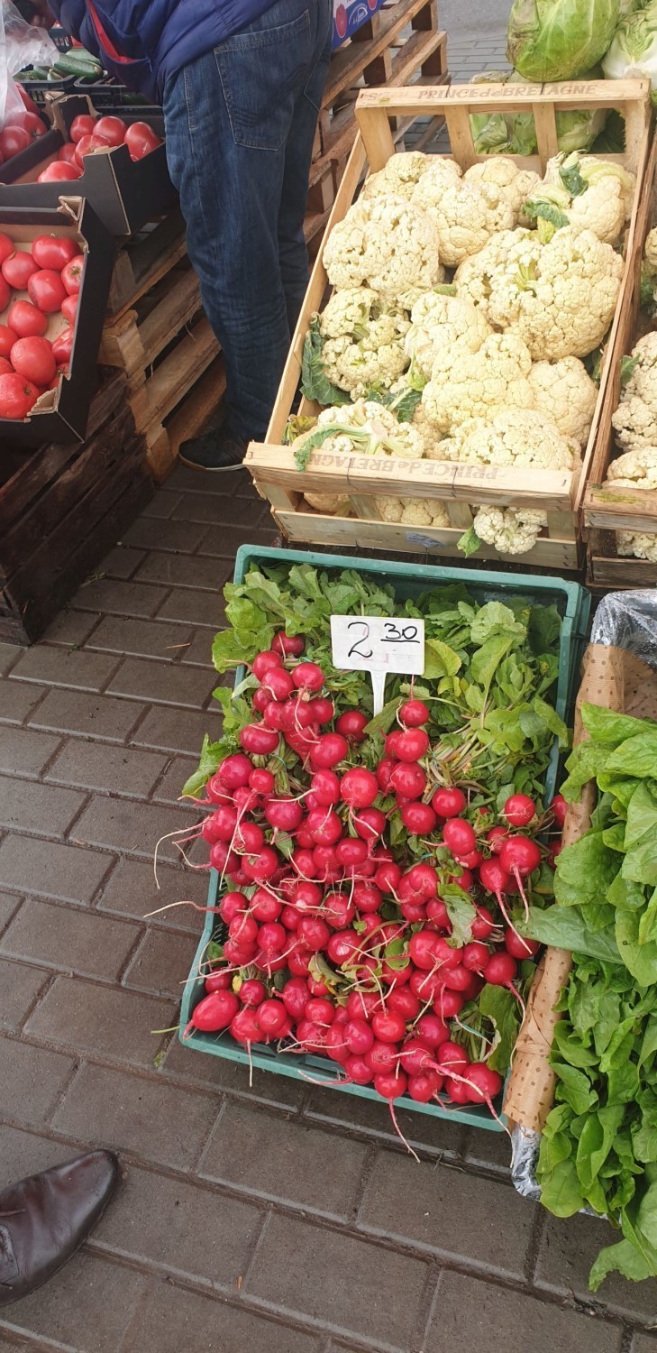 Bełchatów. Dużo nowalijek na miejskim targowisku.Zobacz, ile kosztują ZDJĘCIA