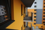 Jaki jest koszt wynajęcia mieszkania w Toruniu?