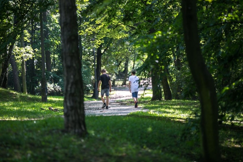 Park Bednarskiego i jego okolice na krakowskim Podgórzu...