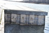 SKORZĘCIN: Drastyczny ubytek Jeziora Niedzięgiel - lustro wody obniżyło się o ponad  0,5 m!  [GALERIA] 