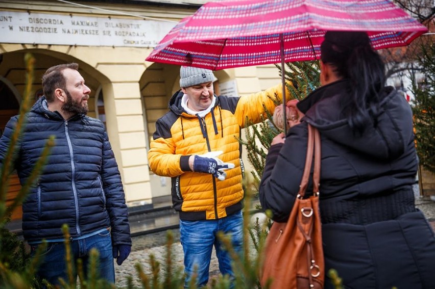 Rozdali choinki mieszkańcom Ostrowa Wielkopolskiego