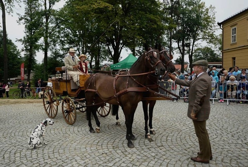 Koszęcin: Konkurs Tradycyjnego Powożenia o Trofeum Śląska [ZDJĘCIA]