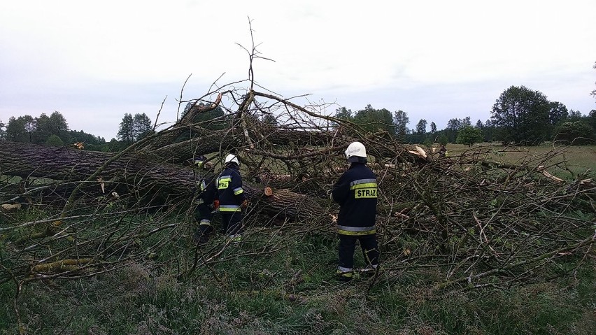 Potężna wichura nabałaganiła we wtorek w naszym powiecie....