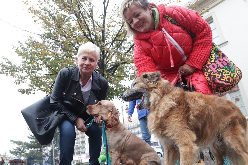 Po raz kolejny przez Włocławek przeszedł marsz ze...