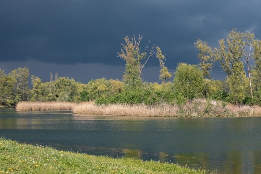 Kraków. W Przylasku Rusieckim w Nowej Hucie będą szukali gorących źródeł [02.06.]