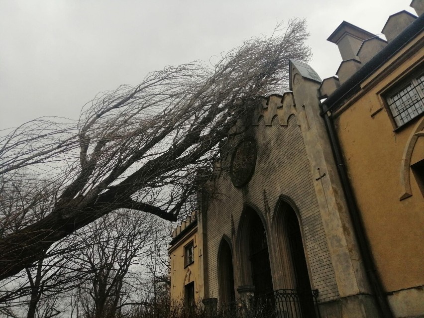 Silny wiatr powalił drzewo na zabytkowy Pałac Szustra na Mokotowie. Strażacy nie poradzili sobie z jego usunięciem 