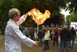 Piknik "Kultura nauki" i potańcówka w Parku Zdrojowym w Ciechocinku. Zdjęcia z imprezy