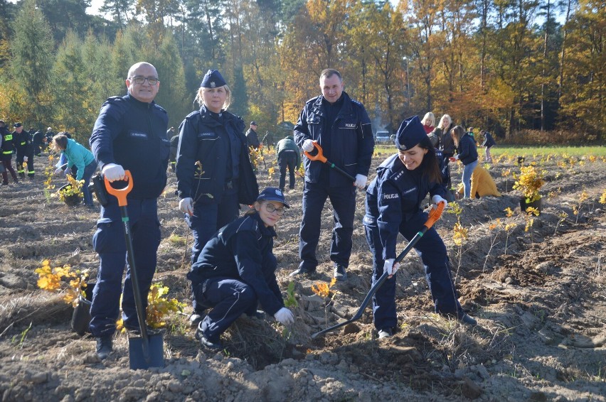 Cel był jeden - zalesić powierzchnię około 28 arów.