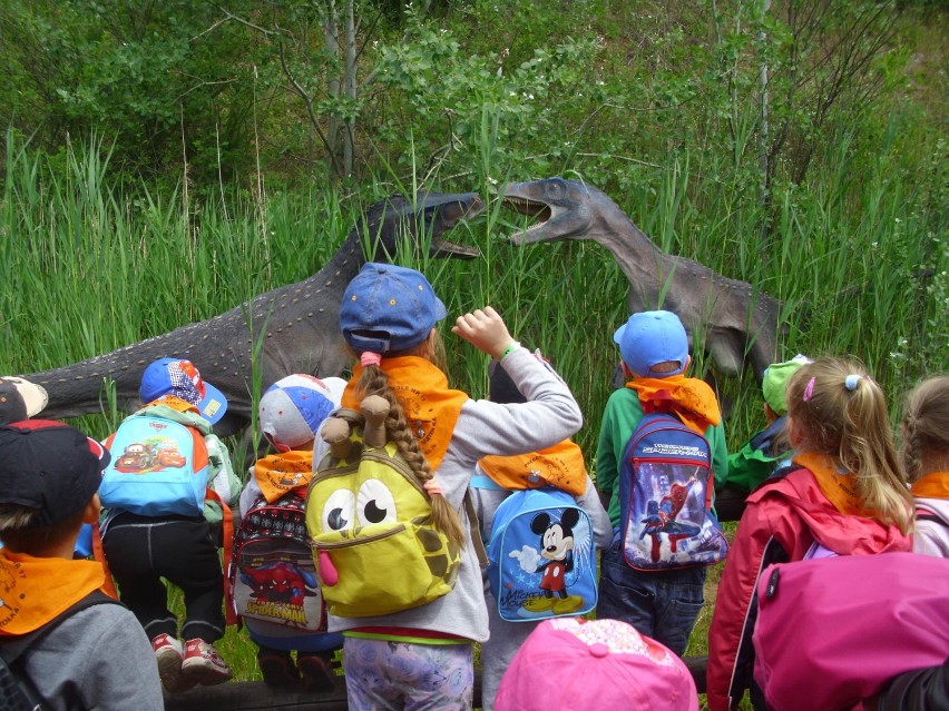 Przedszkole nr 17 w Raciborzu w Krasiejowie poluje na dinozaury