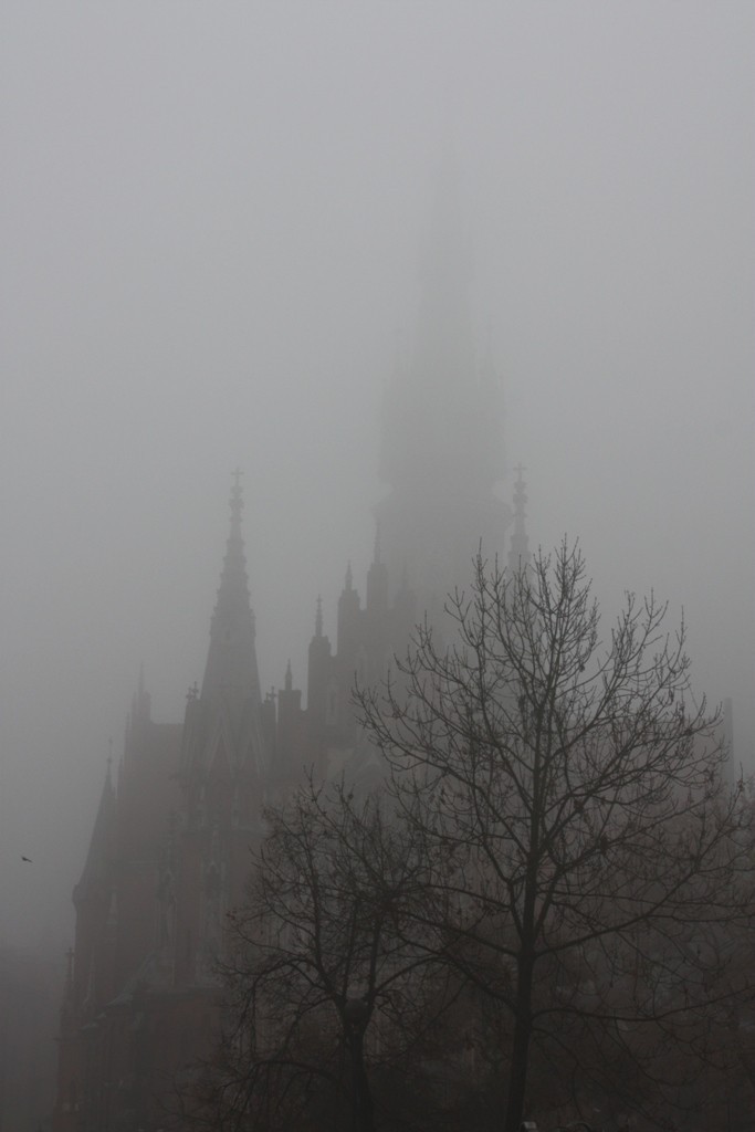 Mgła nad Krakowem [ZDJĘCIA]