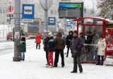 Zima w Szczecinie. Korki, kolizje i opóźnienia [zdjęcia]