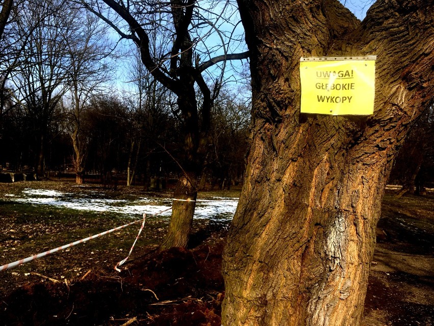 Park Grabek wygląda jak pobojowisko. Trwa remont