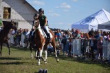 Wystawa koni w Stajni Grzybowice pod Skokami. Impreza przyciągnęła miłośników wierzchowców z całego regionu