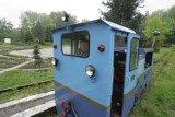 Kolejka wąskotorowa w Parku Śląskim nie jeździ. Pociąg stoi w magazynie