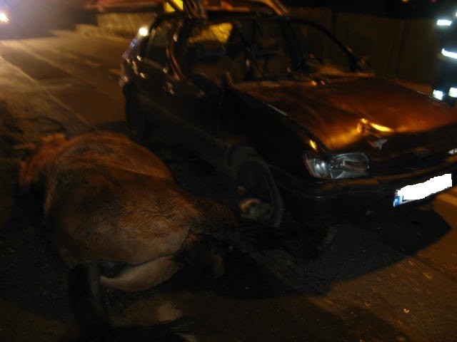 Policja Lubań:  Zderzenie auta z... koniem