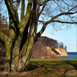 Wiosna nad Bałtykiem: Gdynia Orłowo [zdjęcia]