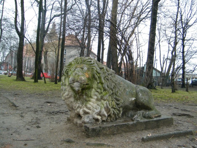 Lwy do parku trafiły po wojnie. Wcześniej stały przed kamienicą na ul. Dworcowej