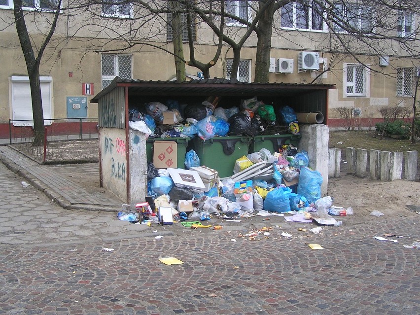 Tak co tydzień, w niedzielę prezentuje się śmietnik przy ul....