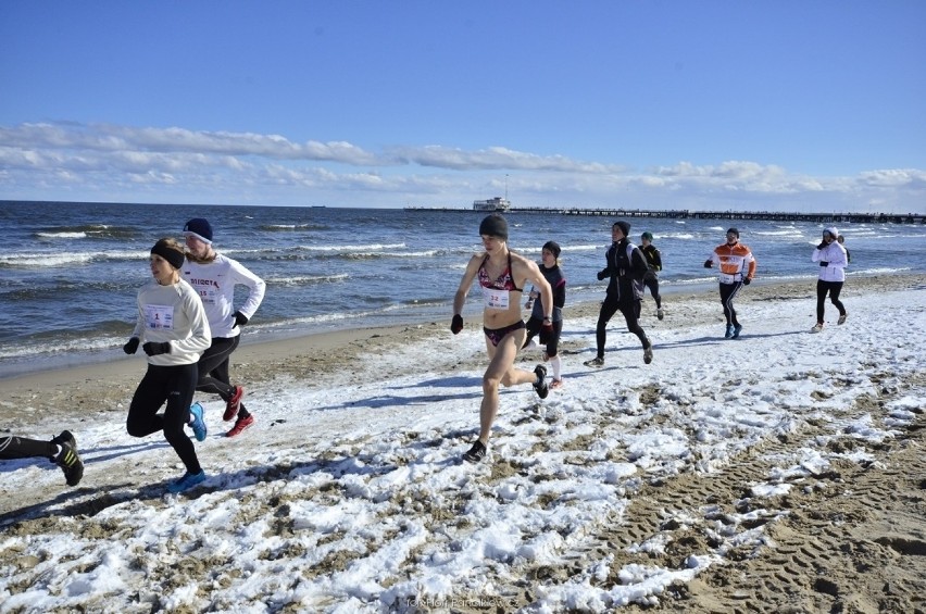  W sobotę rusza Timex Cup 2016 w Sopocie. Będą biegać w mrozie i po zaśnieżonej plaży
